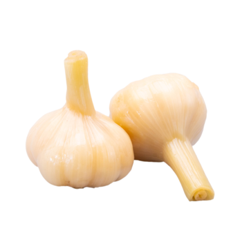 รูปวัตถุดิบ